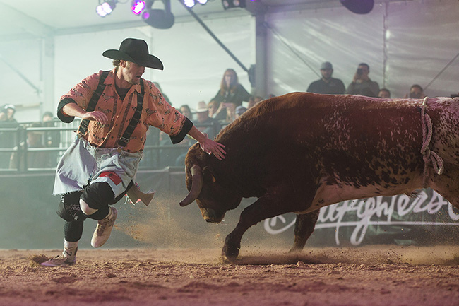 Beau Schueth battles his bull during the BFO Las Vegas Championship this past December. Up-and-coming bullfighters can be part of the Bullfighters Only Development Camps and receive a chance to be part of the BFO Super Camp, set for May 30-June 3 in Decatur, Texas. (TODD BREWER PHOTO)