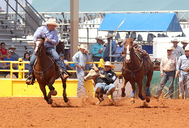 Matt Reeves wrestles his first-round steer in 3.8 seconds with the help of his hazer, Quinn Campbell. Reeves has a two-run cumulative time of 7.9 seconds and leads the lea County Fair and Rodeo. (PEGGY GANDER PHOTO)