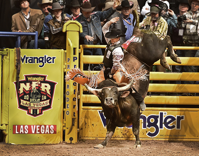 Tim Bingham won more than $106,000 this season and heads to his third Wrangler National Finals Rodeo as the No. 6 bull rider in the world standings. (GREG WESTFALL PHOTO)