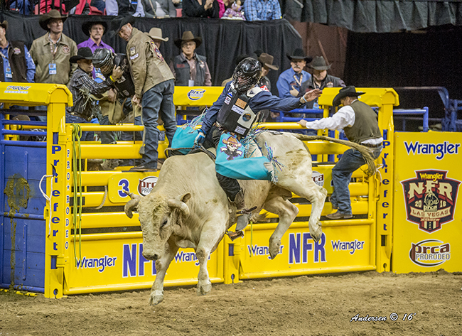 Garrett Smith placed in two rounds at the 2016 Wrangler National Finals Rodeo, including a second-place finish in Round 2 on Pete Carr's Uncle Jerry, and earned more than $77,000. After winning the Canadian bull riding title last week, he heads to the 2017 NFR second in the world standings. (RIC ANDERSEN PHOTO)