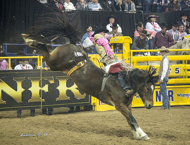 Ty Breuer returns to the Wrangler National Finals Rodeo for the third time in his career. Now that he's a new dad, he hopes to wrangle in his fair share of Vegas cash. (RIC ANDERSEN PHOTO)