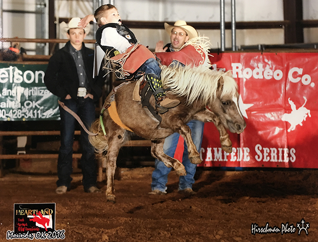Brazos Heck competed in both mini bareback riding and mini saddle bronc riding at the Jr.NFR in Las Vegas earlier this month, winning the all-around title there. (DALE HIRSCHMAN PHOTO)