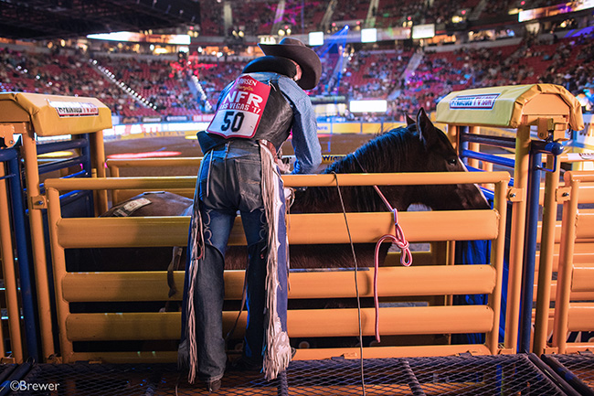 Orin Larsen straps his rigging to J Bar J's Beyond Bugs as he prepares to ride Tuesday night during the sixth round of the Wrangler National Finals Rodeo. He has earned almost $72,000 in six nights. (TODD BREWER PHOTO)