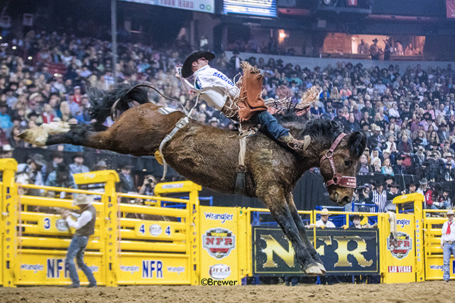 Mason Clements rides Calgary Stampede's Stampede Warrior for 83.5 points Wednesday to place for the third time at this year's Wrangler National Finals Rodeo. (TODD BREWER PHOTO)